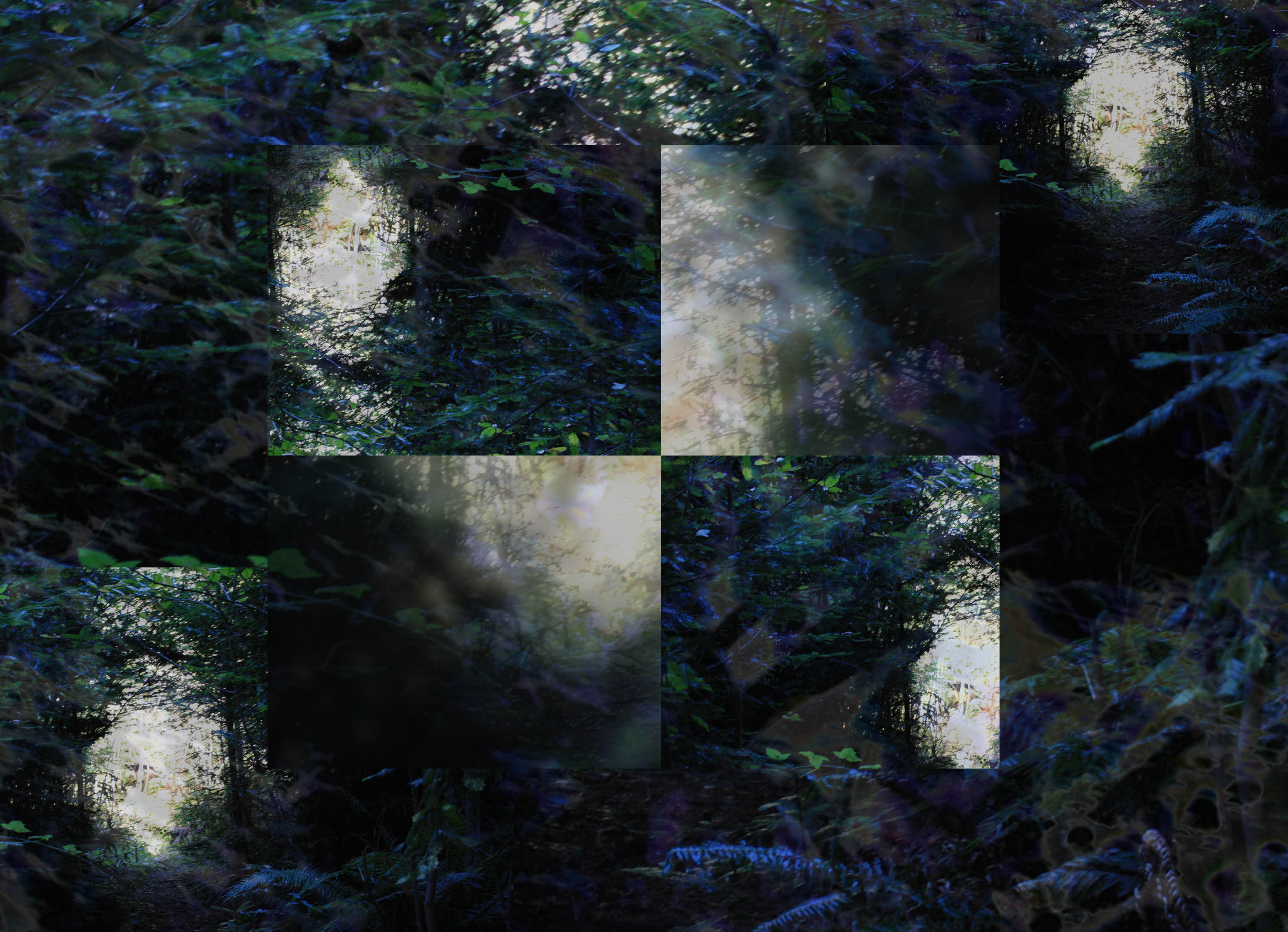 An old photo I cut up.